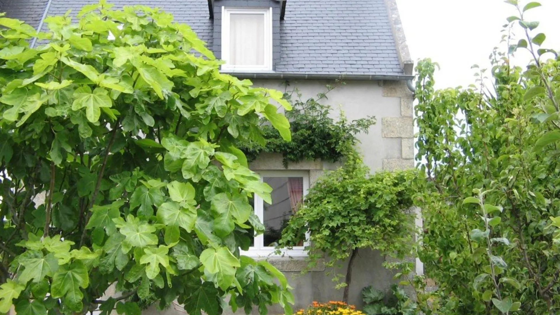 Feriehus Maison Confortable Cote De Granit Rose Avec Parking - Fr-1-542-75 Trégastel